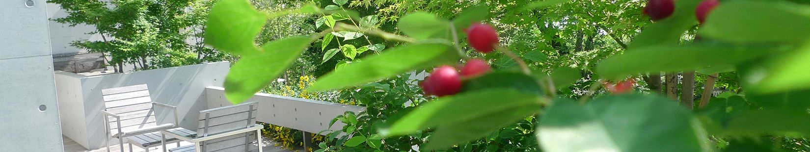 img20170712171224226774.jpg