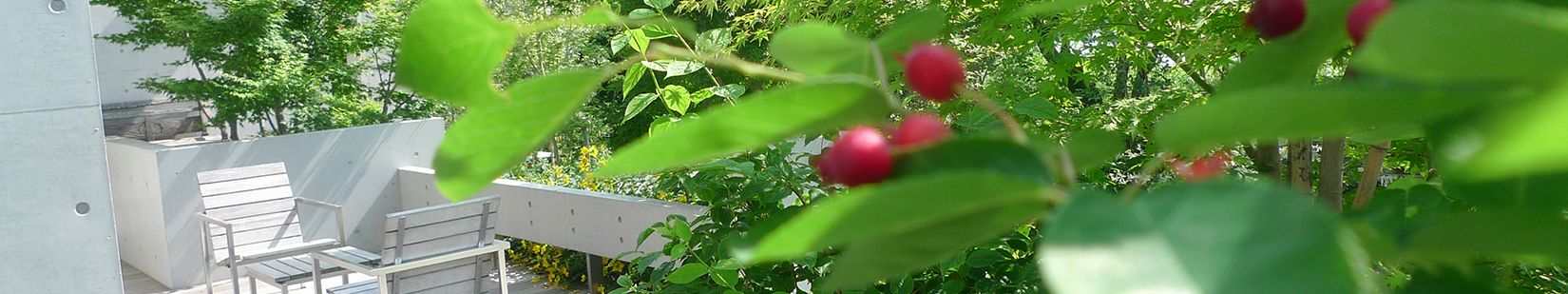 img20170712171224226774.jpg